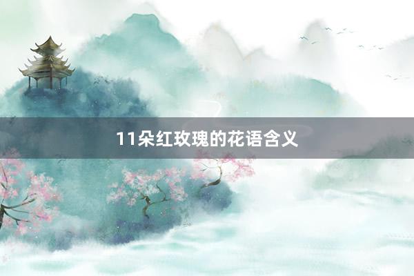 11朵红玫瑰的花语含义