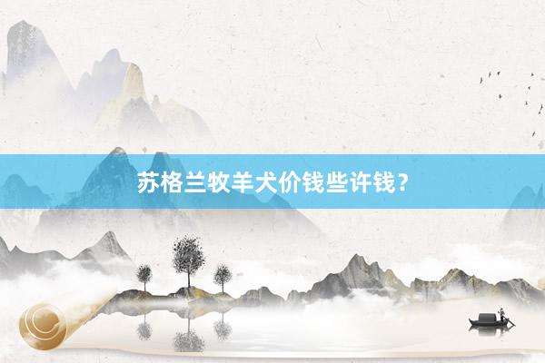 苏格兰牧羊犬价钱些许钱？