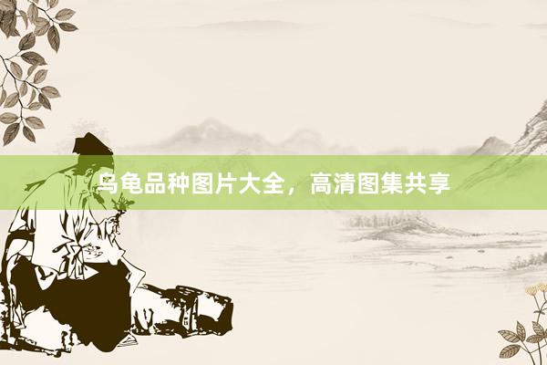 乌龟品种图片大全，高清图集共享