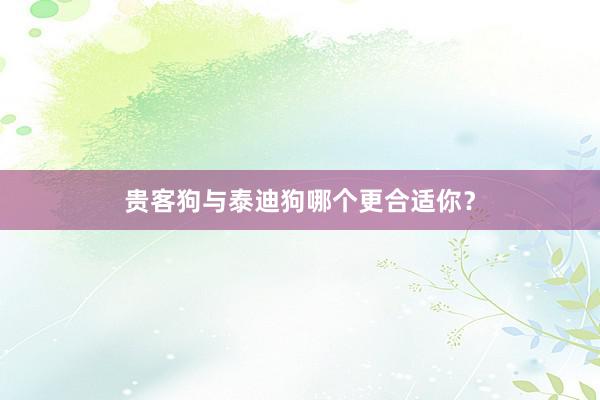 贵客狗与泰迪狗哪个更合适你？