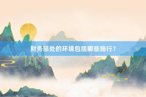 财务惩处的环境包括哪些施行？